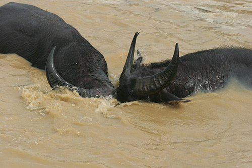 K? nào nh?n th? lâu hơn th? th?ng!