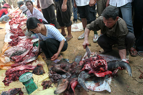 Th?ng hay b?i th? c?ng ra đây t?t!