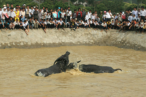 Tr?n thu? chi?n c?a c?p đ?u 11 - 19